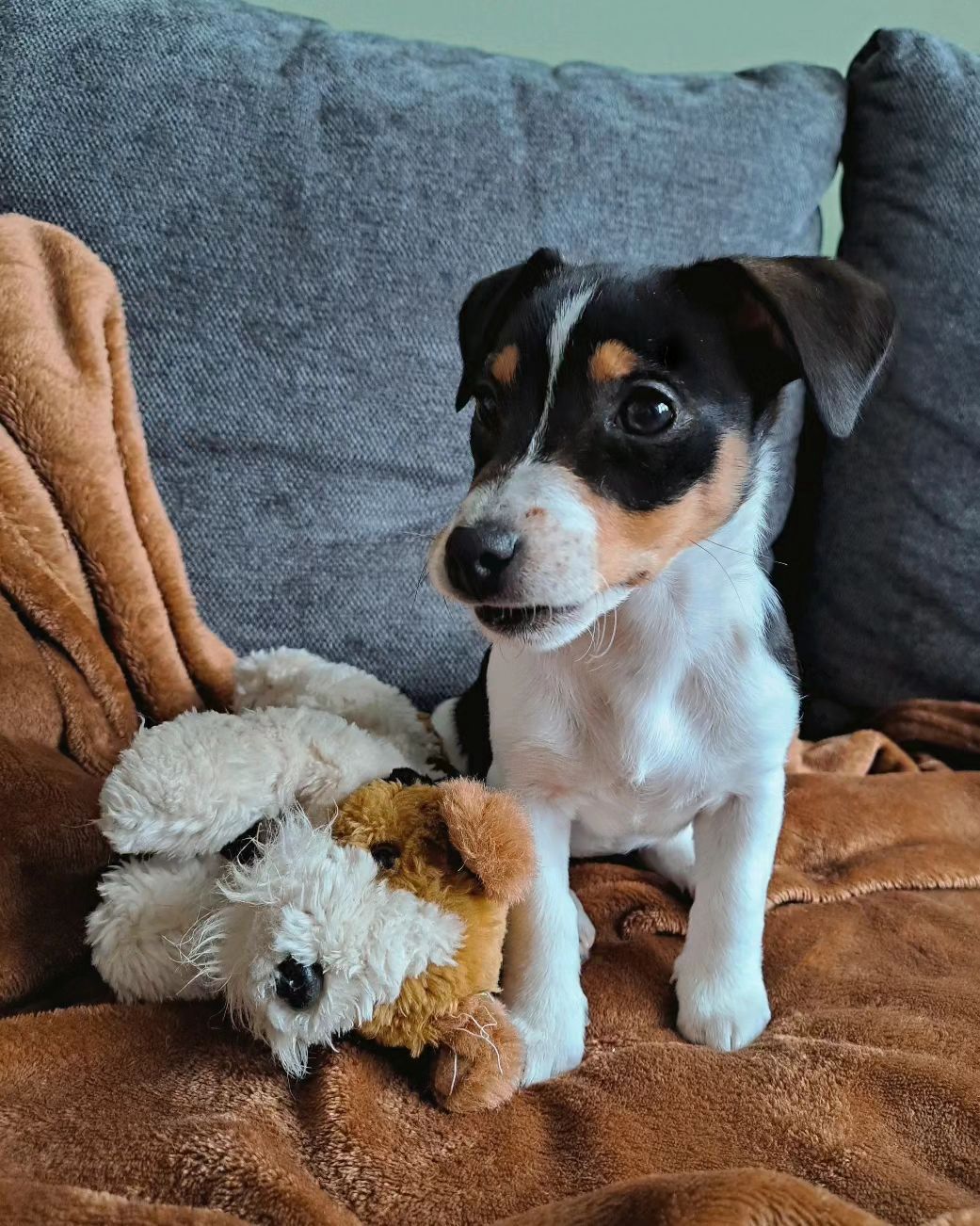 Ellie Jack Russell. Ellie Jack Russell.