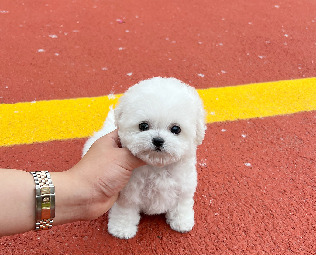 Jennie. Jennie.