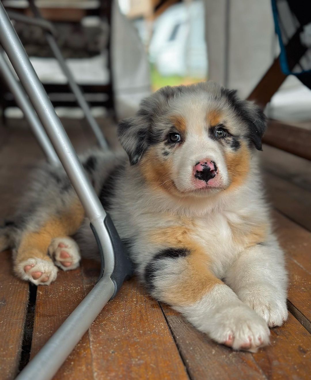 Rubyaussie Rubyaussie